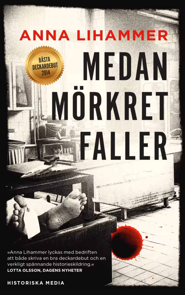 Medan mörkret faller